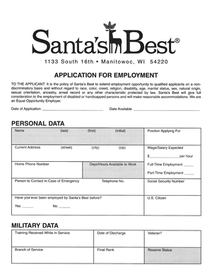 Santa's Best Job Application Form preview