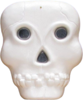 Skulls & Skeletons icon