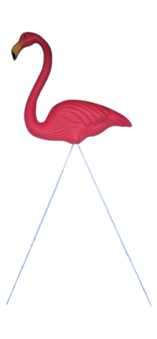 Pink Flamingo (Standing) photo