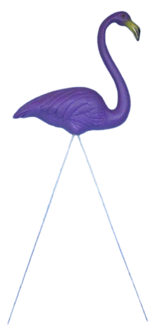 Purplemingo (Standing) photo