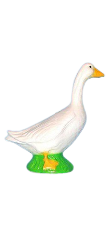Small Goose photo