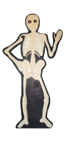 Skeleton photo