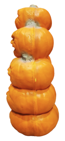 Personality Pumpkin Stack photo