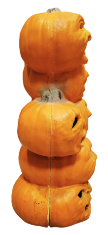 Personality Pumpkin Stack photo