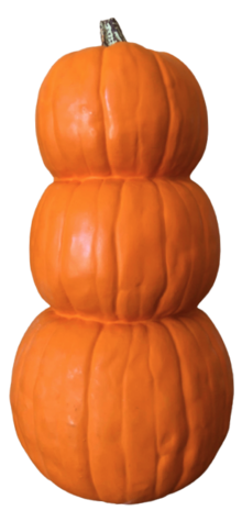 Pumpkin Stack photo