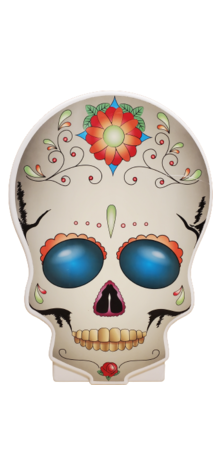 Day of the Dead Skull photo