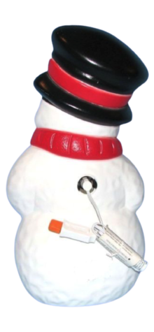 Snowman photo