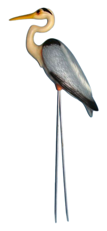 Blue Heron photo