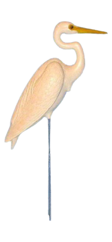 Egret photo