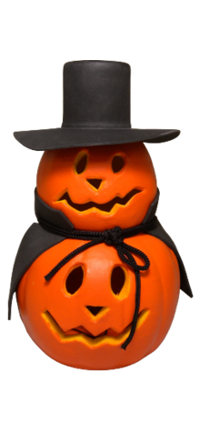 Pumpkins with Hat photo