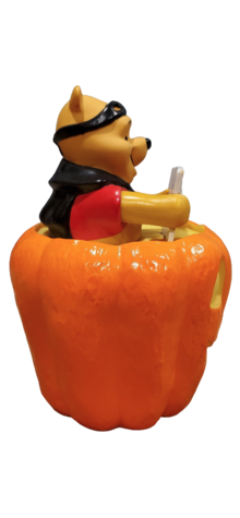 Pooh in Pumpkin photo