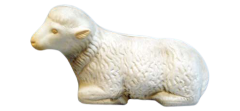 Lamb photo