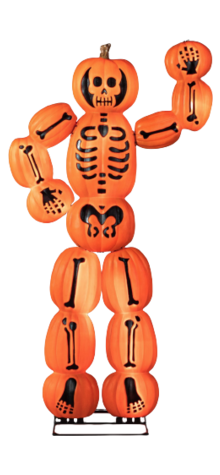 Pumpkin Skeleton Man photo