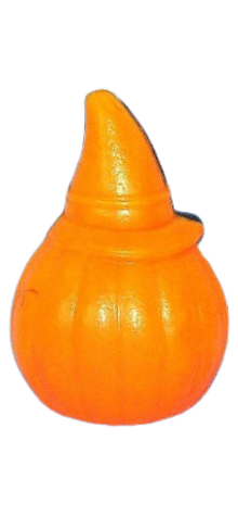 Pumpkin With Witch Hat photo