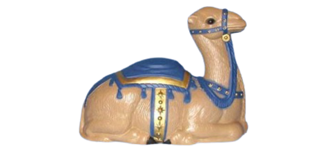 Camel photo