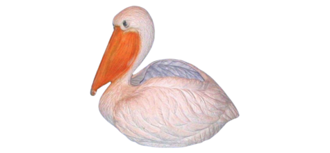 Pelican Planter photo