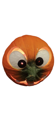 Happy Stem Nose Pumpkin photo