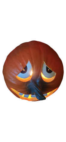 Sad Stem Nose Pumpkin photo
