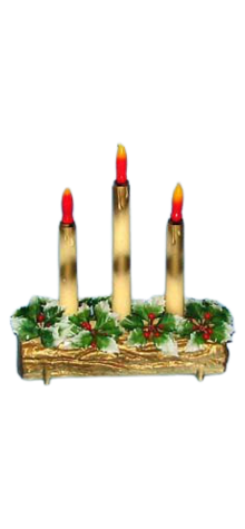 Three Candles On Log photo