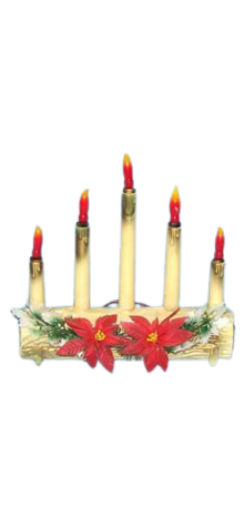 Five Candles On Log photo