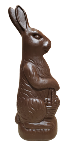 Chocolate Brown Rabbit photo