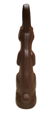 Chocolate Brown Rabbit photo