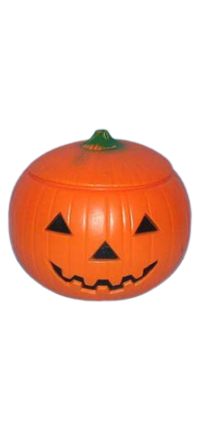 Pumpkin with Cover photo