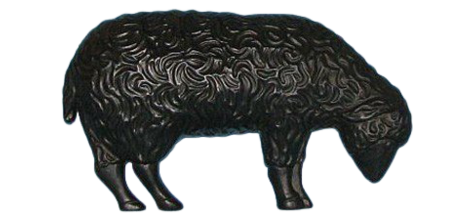 Black Grazing Lamb photo