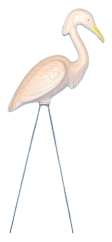 Egret photo