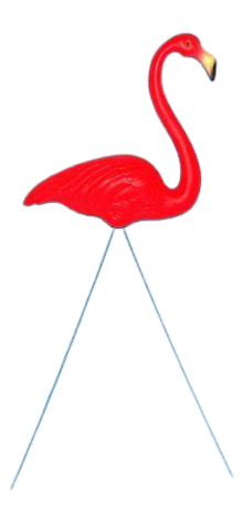 Red Flamingo photo