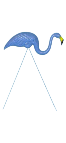 Blue Flamingo photo