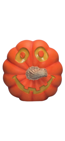 Stem Nose Pumpkin photo
