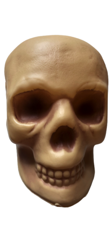 Skull on Stake photo
