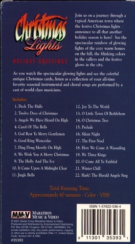 Holiday Greetings Christmas Lights sleeve 2